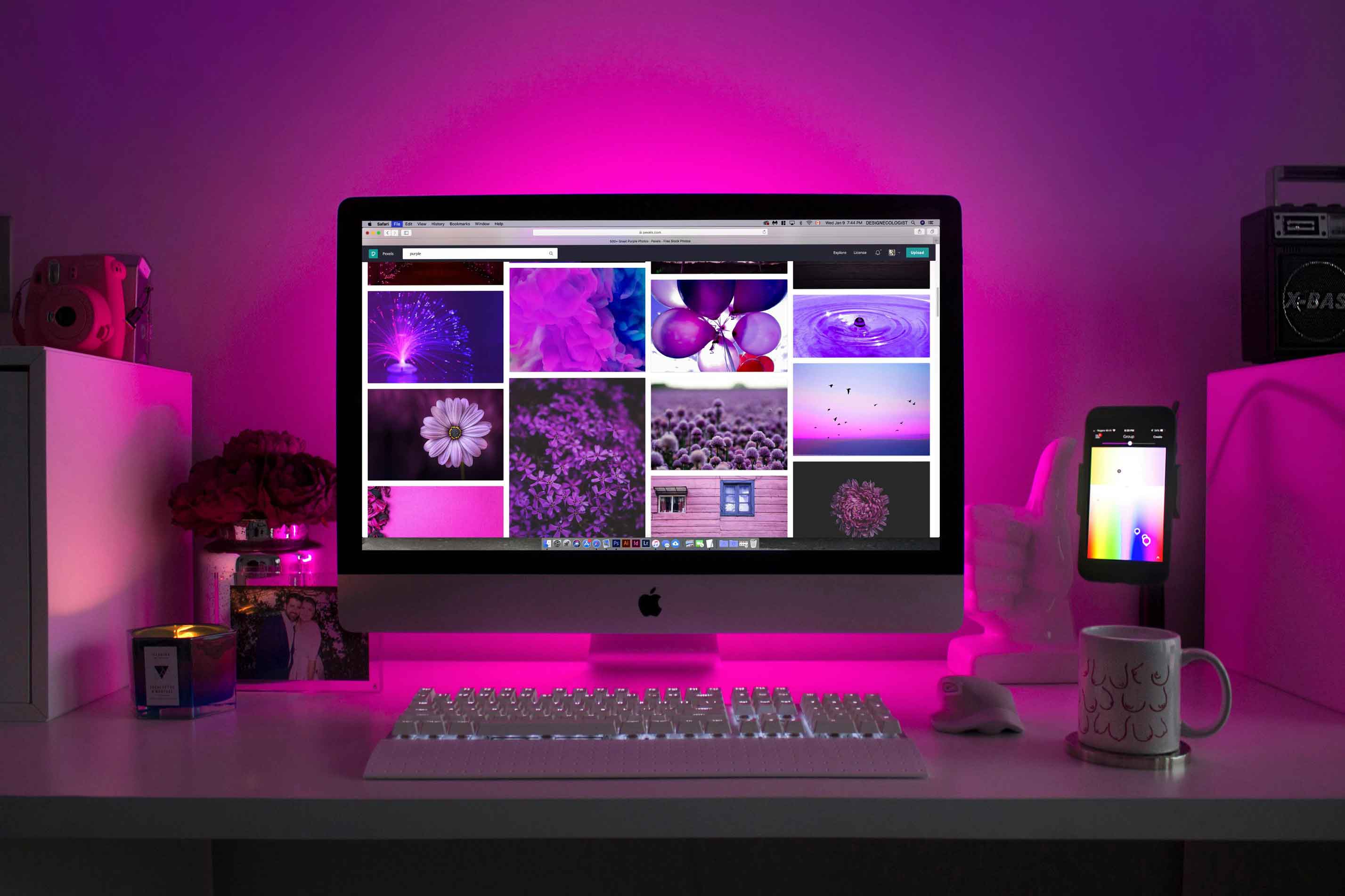 Web Development Course